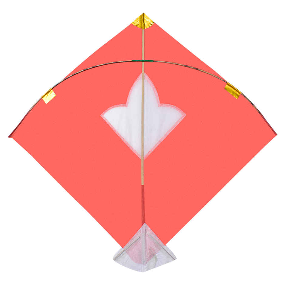 Paper Kite | Color and Design May Vary | Pack of 5 | Patang | Festaholic