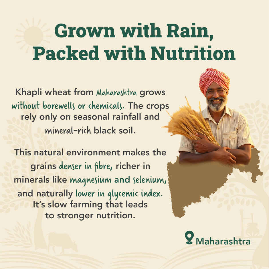 Anveshan Cold Pressed Khapli Atta