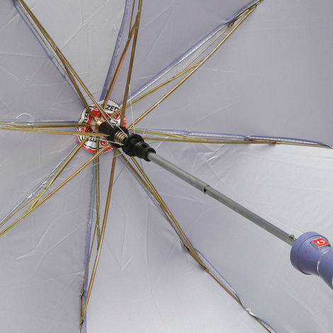 Citizen 2 Fold 21 Inch Purple Mono Silver Umbrella