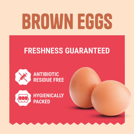 Relish Brown Eggs - Pack of 6
