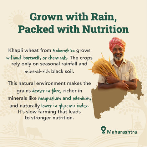 Anveshan Cold Pressed Khapli Atta