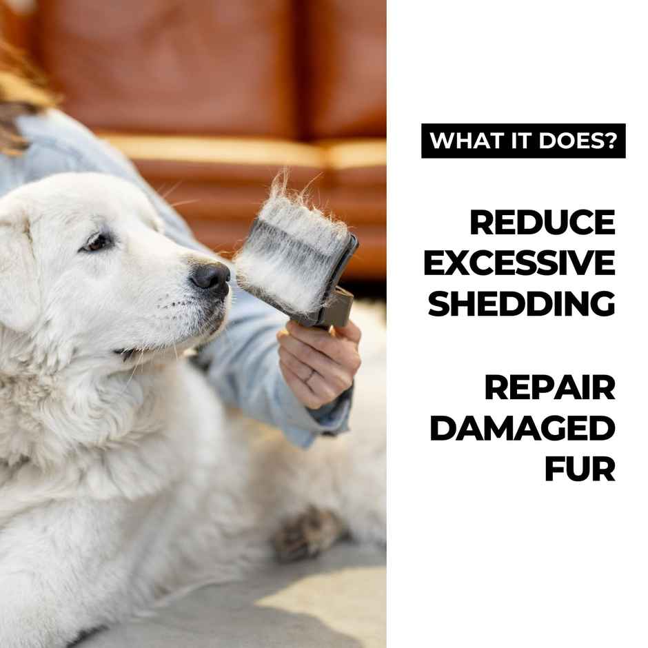 Moe Puppy Keratin+ Shampoo