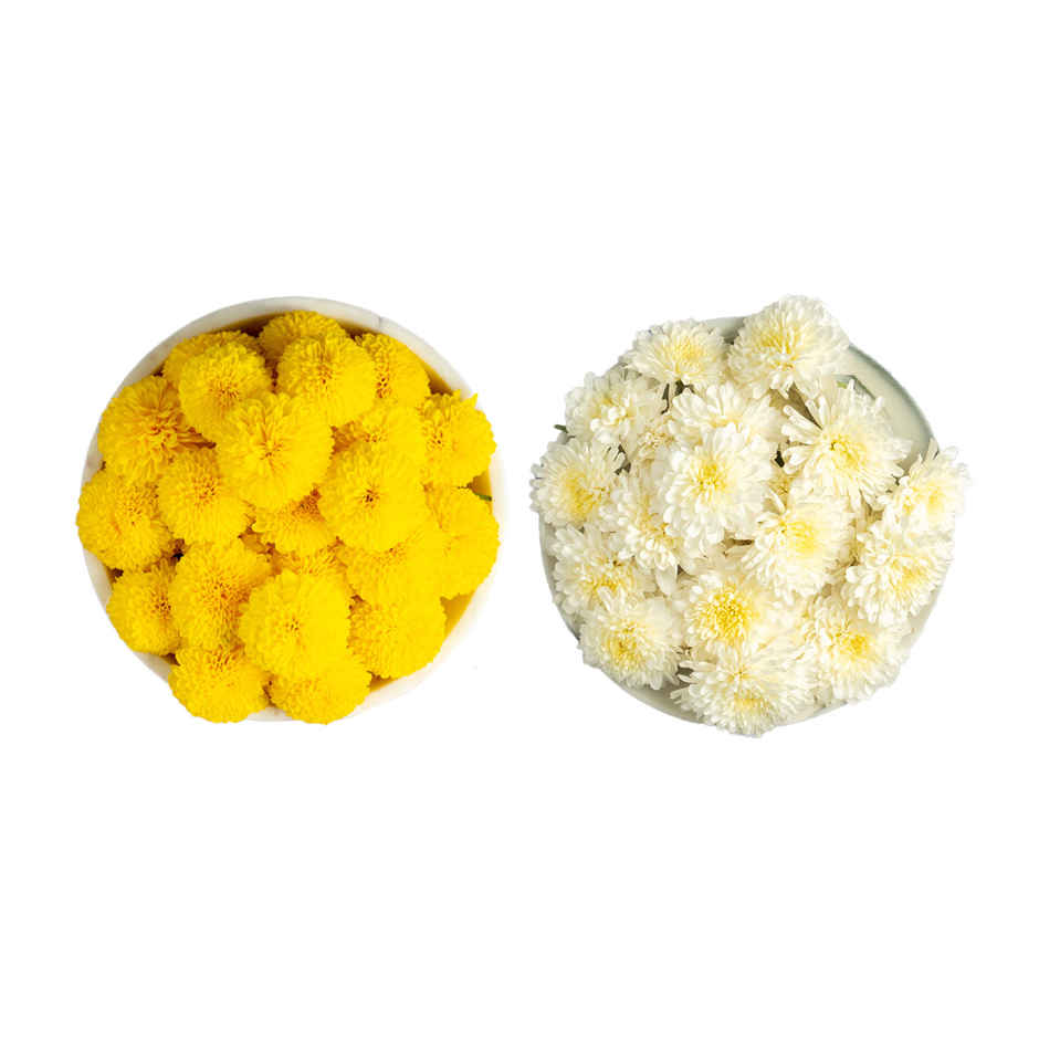Chrysanthemum Flower Yellow(100gms) & Chrysanthemum Flower White(100gms) Combo 