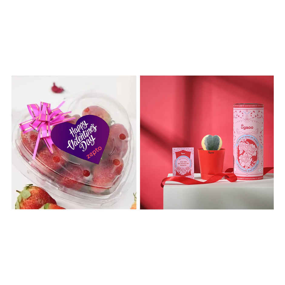 Ugaoo Heart Hoya Verigated Plant With Red Self Watering Pot(1pc) & Fnp Radiant Red Rose Bouquet(1pc) Combo