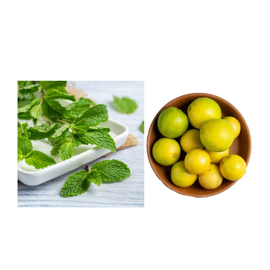 Lemon(200gms) & Mint Leaves(100gms) Combo