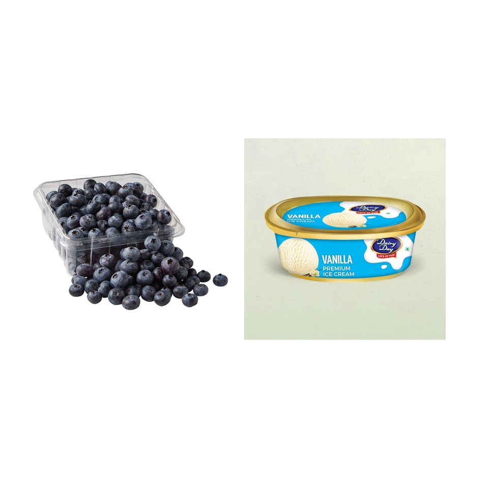 Blueberry Imported(120gms) & Dairy Day Vanilla Ice Cream Tub(500ml) Combo