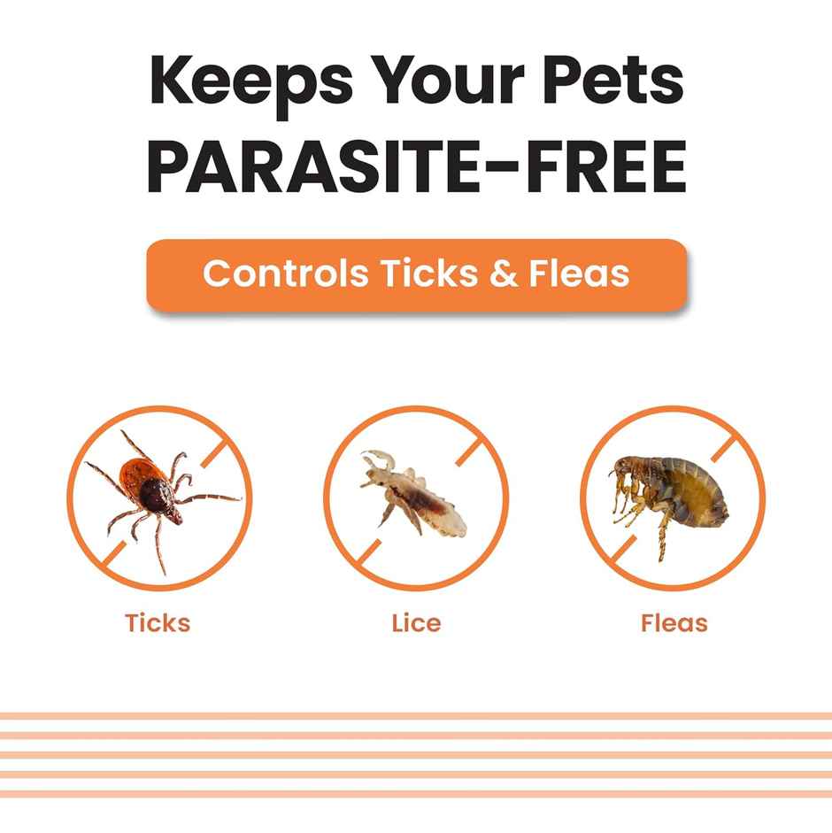 Vivaldis Spot On for Dogs & Puppy up to 10 kg | Anti Tick, Flea & Lice Treatment | VI-FI Forte Combo 