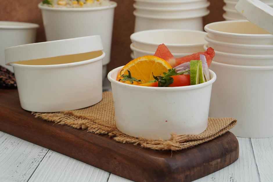 Disposable White Paper Container With Lid | Pack Of 20 | 250 ml | Tempware