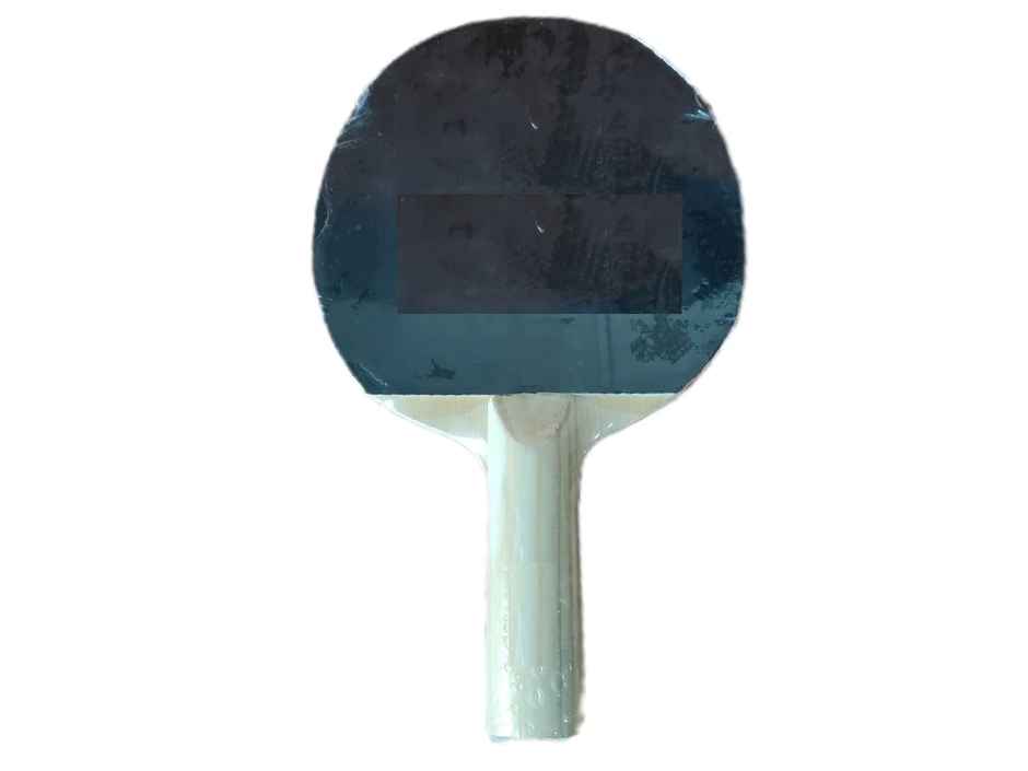 Zike 1 Star Table Tennis Racket - PO1