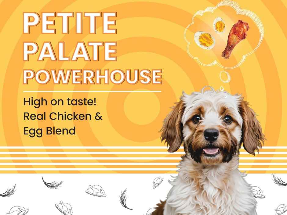 Bark Out Loud | Essentials Fresh Chicken and Egg Adult Dog Dry Food | Mini and Small Breed