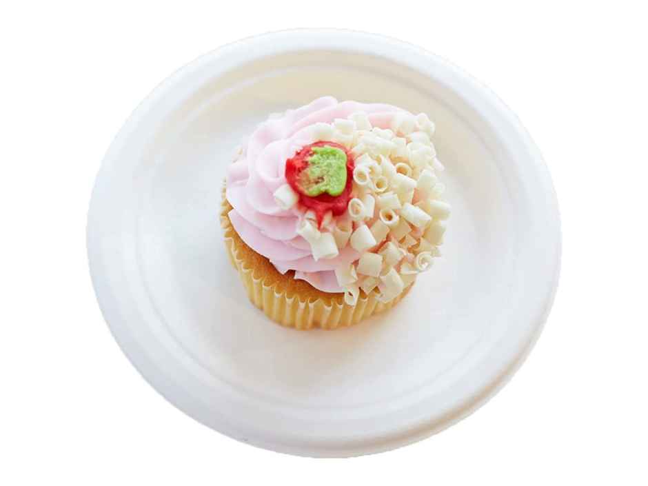 Disposable Paper White Round Plate | 6 inch | Pack of 25 | 225 GSM | Tempware