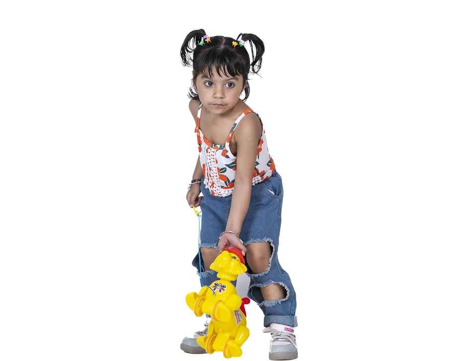 Toybharat Pulling Jungle King |Multicolour | 3-6 Years Kids | Birthday Gift |Pull Along Toy