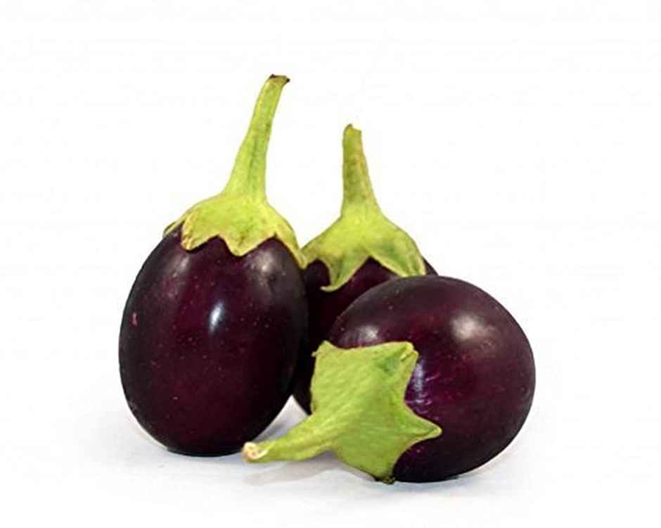 Organic Brinjal Nagpur