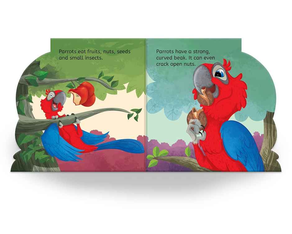 My First Shaped Board Book Illustrated Parrot - Bird Picture Book For Kids Age 2+ Board Book