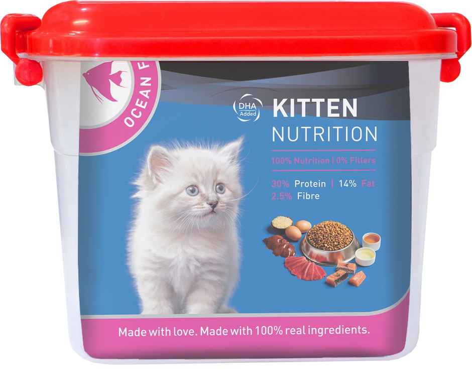 Drools Kitten (1-12 Months) Dry Cat Food With Free Container - Ocean Fish