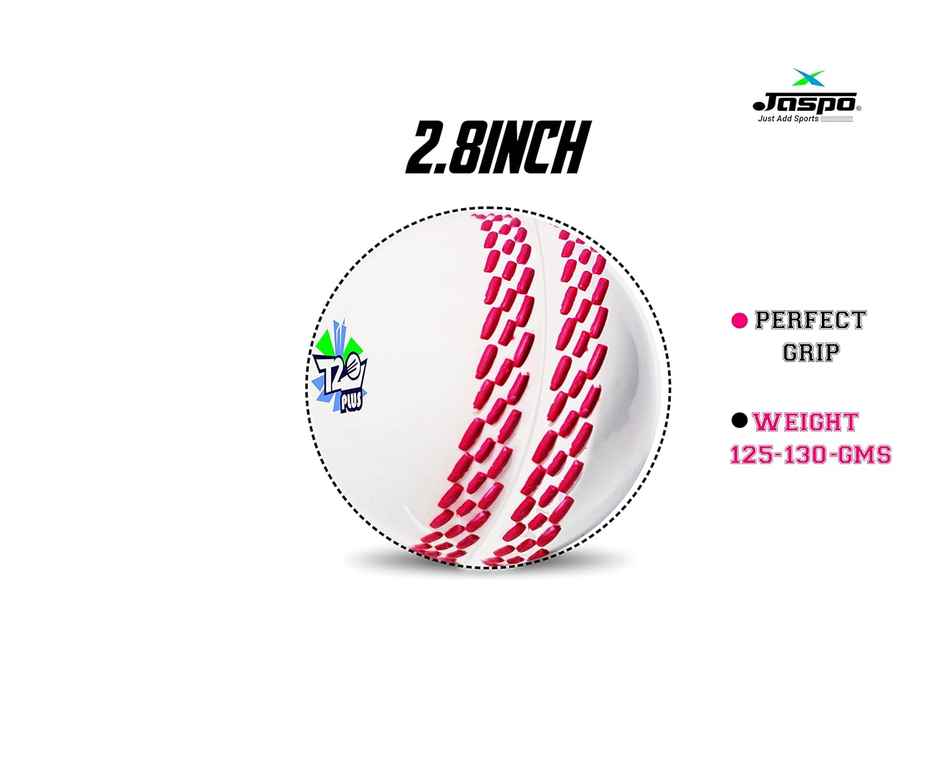 Jaspo Synthetic T-20 Plus Practice Cricket Ball (Pack Of 6) (White)