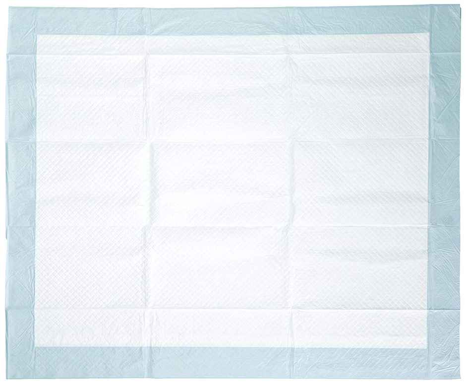 Nootie Training Pads(45X60)10Pcs