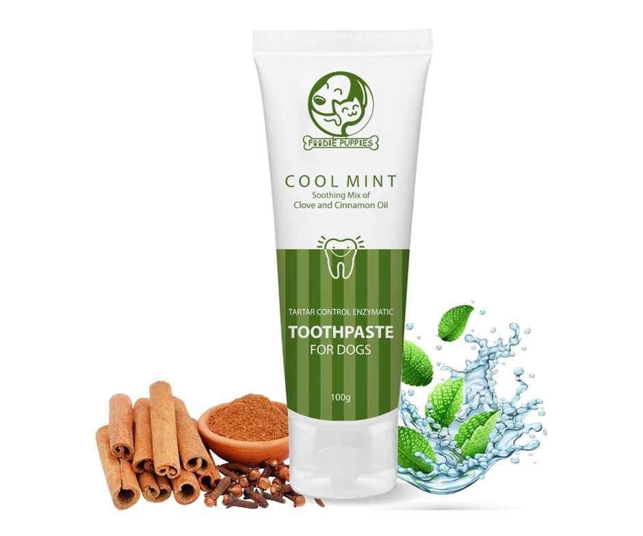Foodie Puppies Coolmint Dog Toothpaste