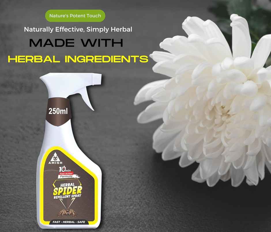Amish Herbal Spider Spray 250Ml | 10 Minutes Result Guarantee |Powerful 100% Organic No Chemical