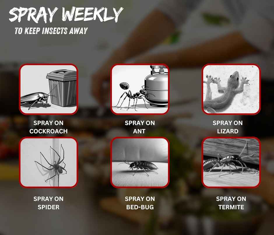 Amish Herbal All In One Spray 250Ml - 10 Minutes Result Guarantee | 100% Organic Insect Repellent