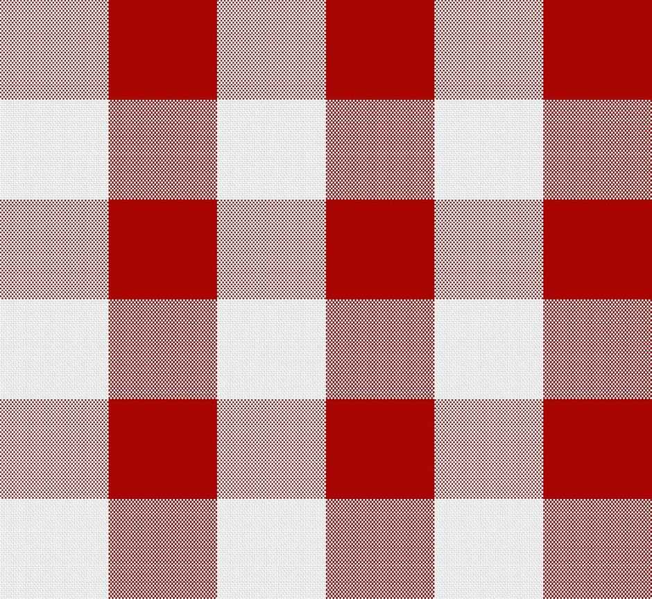 Lushomes Pot Holder - Red | Buffalo Checks | Microwave Hand Gloves | 9 x 8 inch