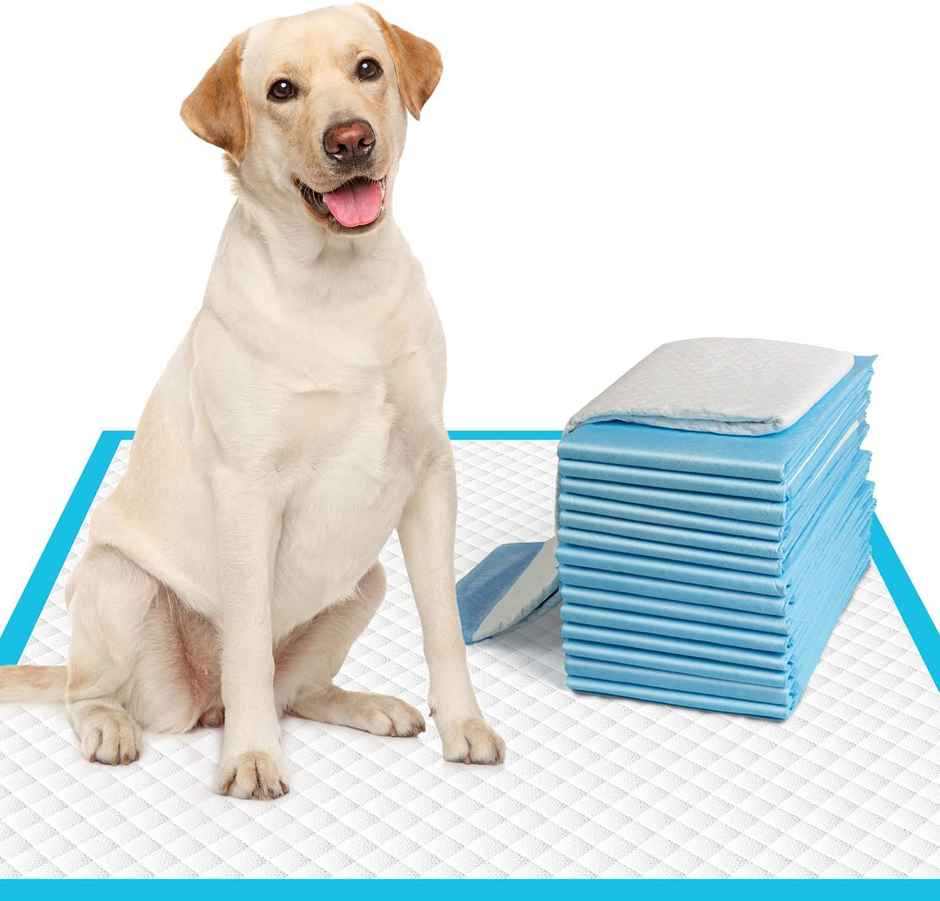 Patch & Marshall XL Basics Pee & Potty Pet Training Pad with Floor Sticking Tape