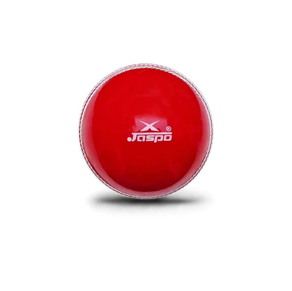 Jaspo Cricket Ball For Practice Training Matches For All Age Group T20 Soft Ball Standard Size