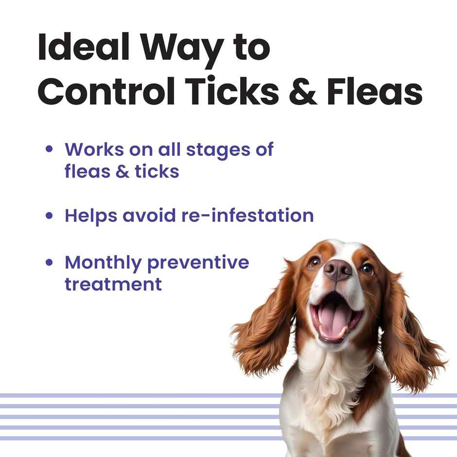 Vivaldis Anti Tick, Flea & Lice Treatment Spot On For Dogs | Vi-Fi Forte | 10-20 Kg (1.34ml) & Vivaldis Vi-Fi Forte-Tick, Flea, Lice Spray For Dogs, Cats, Kitten & Puppies With Fipronil (100ml) Combo