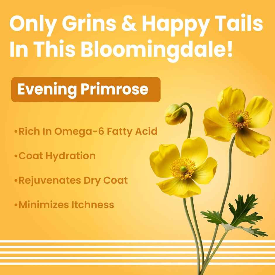 Bark Out Loud Dog Shed Control Shampoo for Hairfall