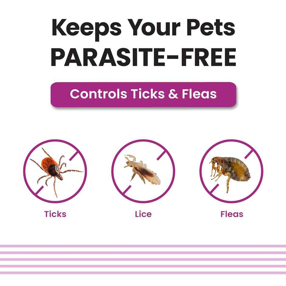 Vivaldis Anti Tick, Flea & Lice Treatment Spot On for Dogs | VI-FI Forte | 20 - 40 kg | 2.68 ml