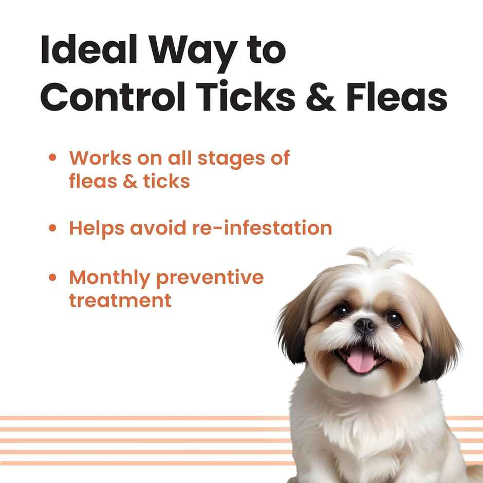 Vivaldis VI-FI Forte Spot On 0.67 ml | Fleas, Ticks & Lice | Fipronil for dogs & puppy upto 10 kgs
