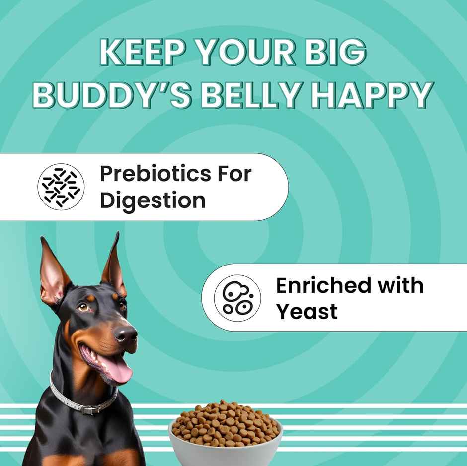 Bark Out Loud | Essentials Fresh Chicken and Egg Adult Dog Dry Food | Medium and Large Breed