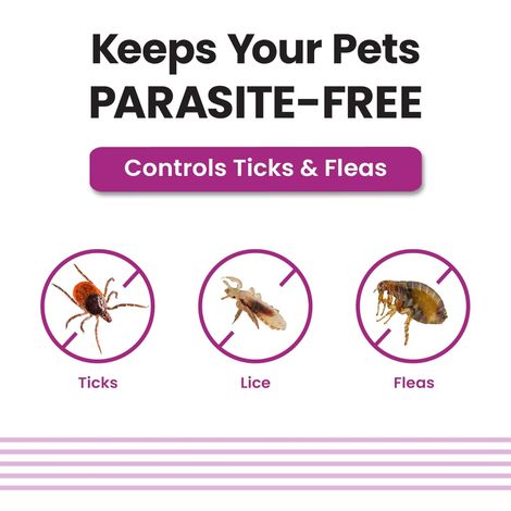 Vivaldis VI-FI Forte Spot On 2.68 ml | Fleas, Ticks & Lice | Fiproni for dogs | 20-40 kgs