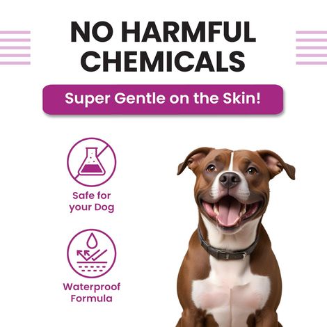 Vivaldis VI-FI Forte Spot On 2.68 ml | Fleas, Ticks & Lice | Fiproni for dogs | 20-40 kgs