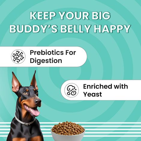 Bark Out Loud | Essentials Fresh Chicken and Egg Adult Dog Dry Food | Medium and Large Breed