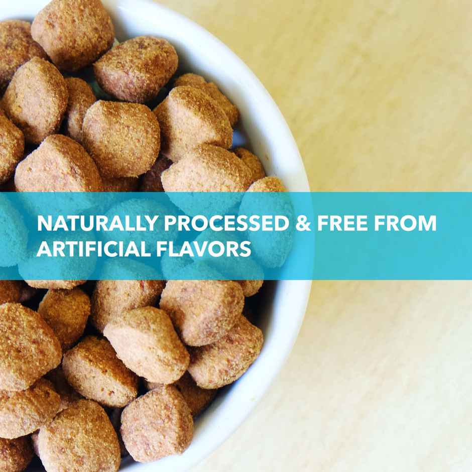 Purepet Chicken | VEG Adult Dog FOOD