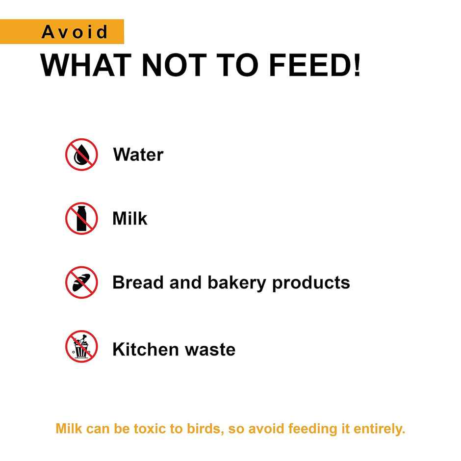 Tunai Hand Feeding Formula For All Baby Birds