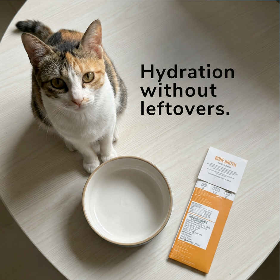 Goofy Tails Chicken Bone Broth for Cats | Collagen Rich Cat and Kitten Food Topper