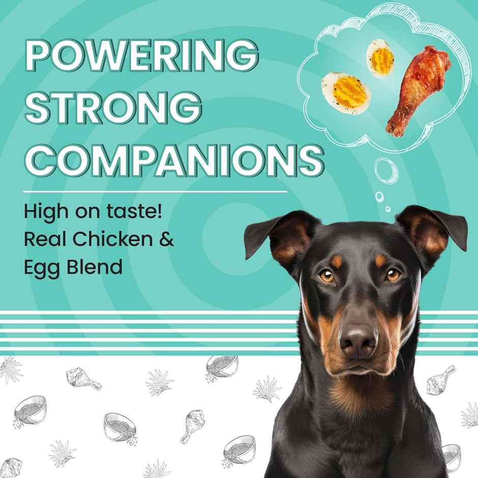 Bark Out Loud - Essentials Adult Dog Food | Fresh Chicken and Egg , Medium and Large Breed