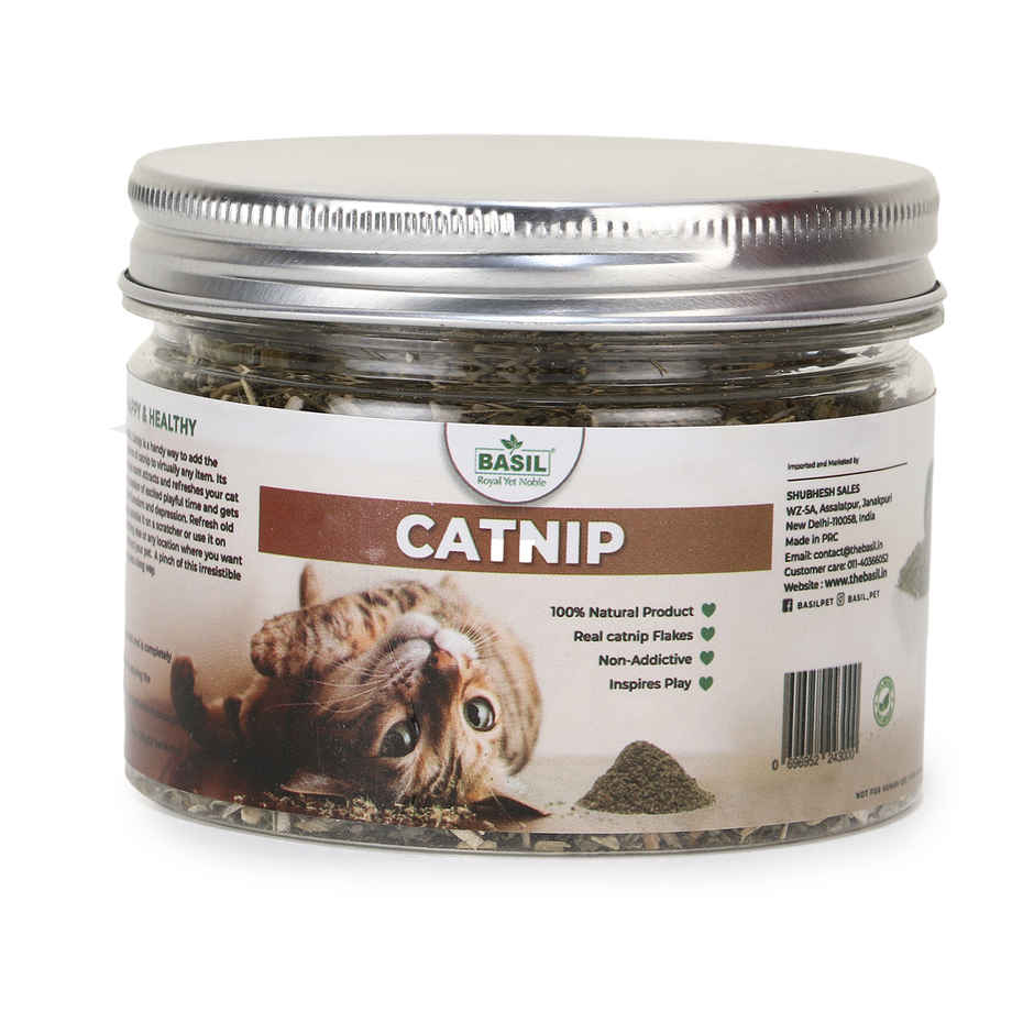 Basil Catnip Jar | 100% Natural | Safe | Stimulates Play in Cats & Kittens