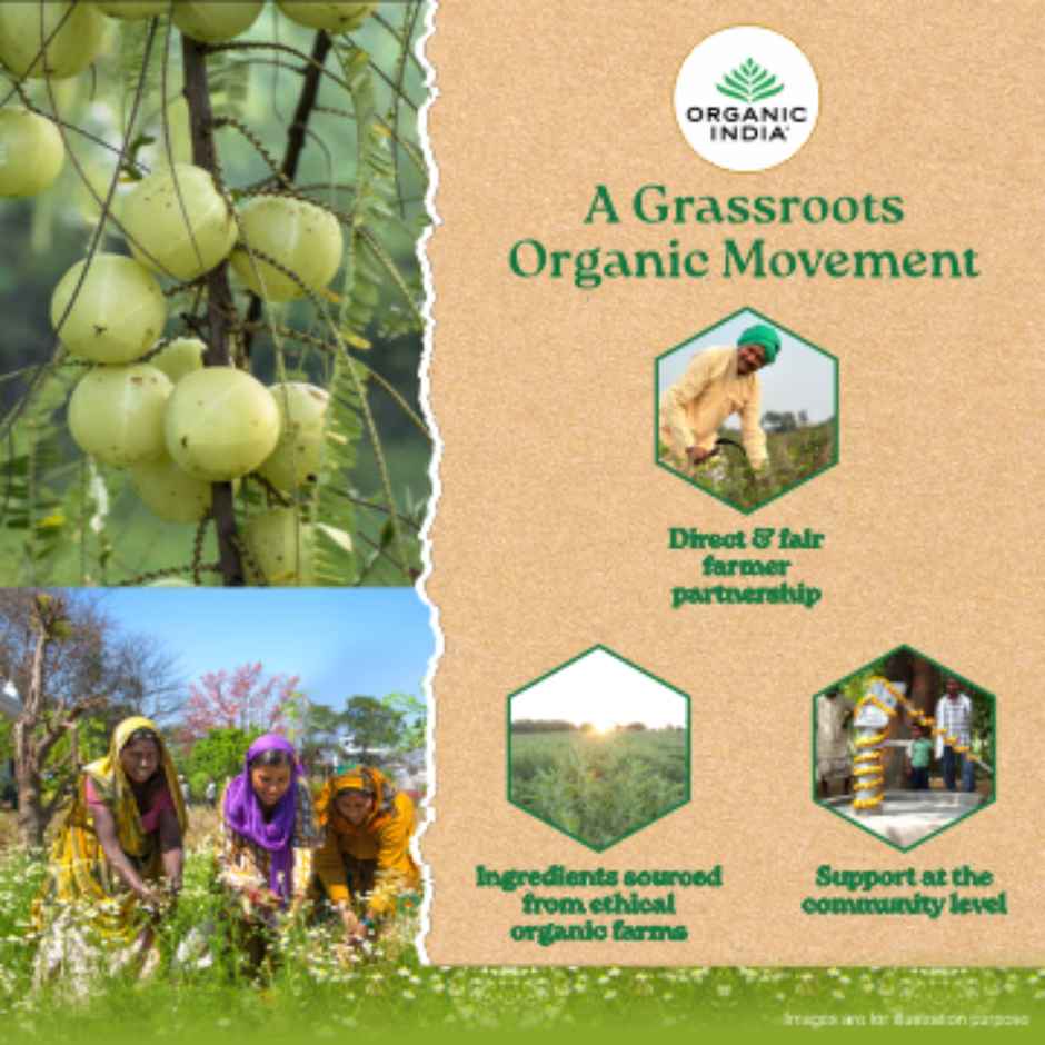 A TATA Product - Organic India Moringa Hibiscus 25 Tea bags