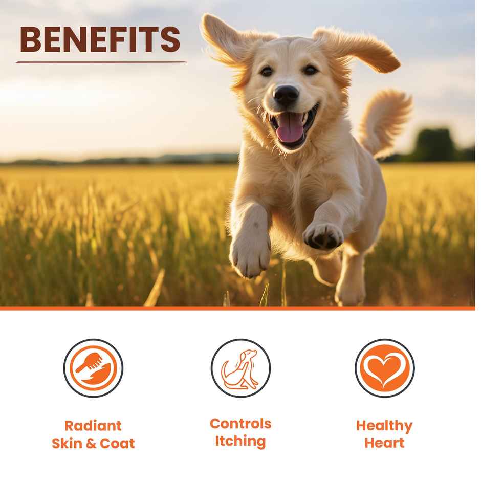 LICKICIOUS Omega 3 6 9 Salmon Oil - Skin & Coat Cat & Dog Supplement Syrup