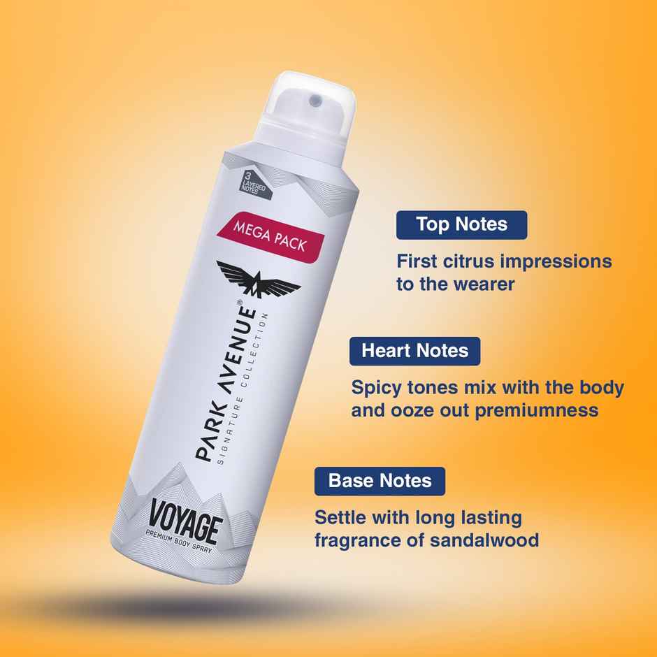 Park Avenue Voyage Deodorant Spray for men