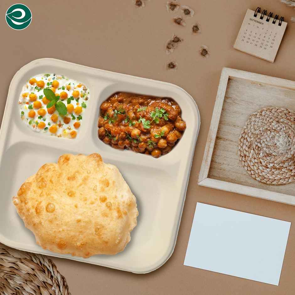 Sugarcane Fiber Pulp Plate | Round | 9 inch | 3 Compartment | Pack of 10 | Tempware