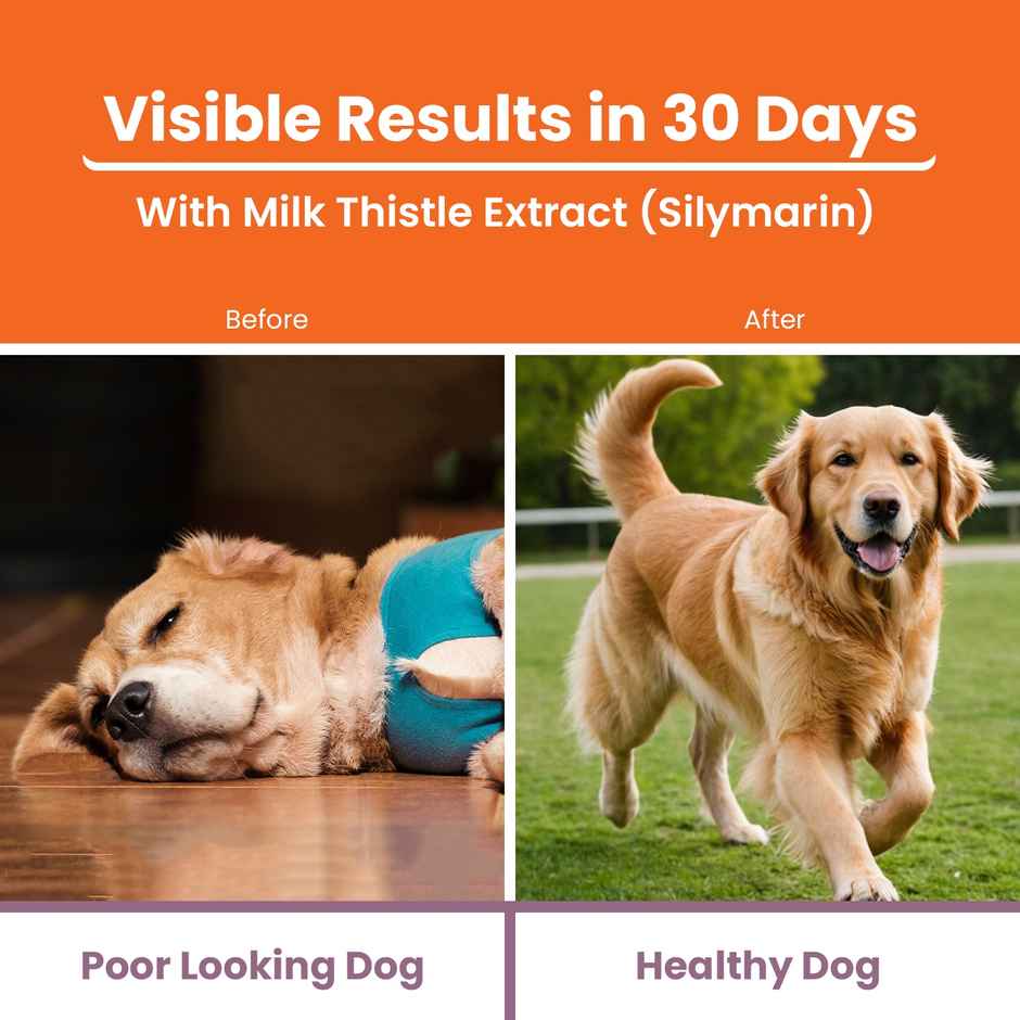 LICKICIOUS Liver Care Cat & Dog Supplement Syrup