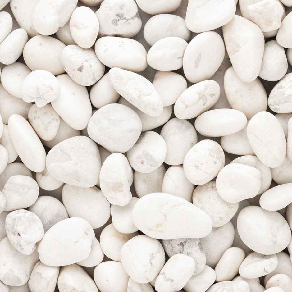 Trustbasket White Pebbles - 1 Kg