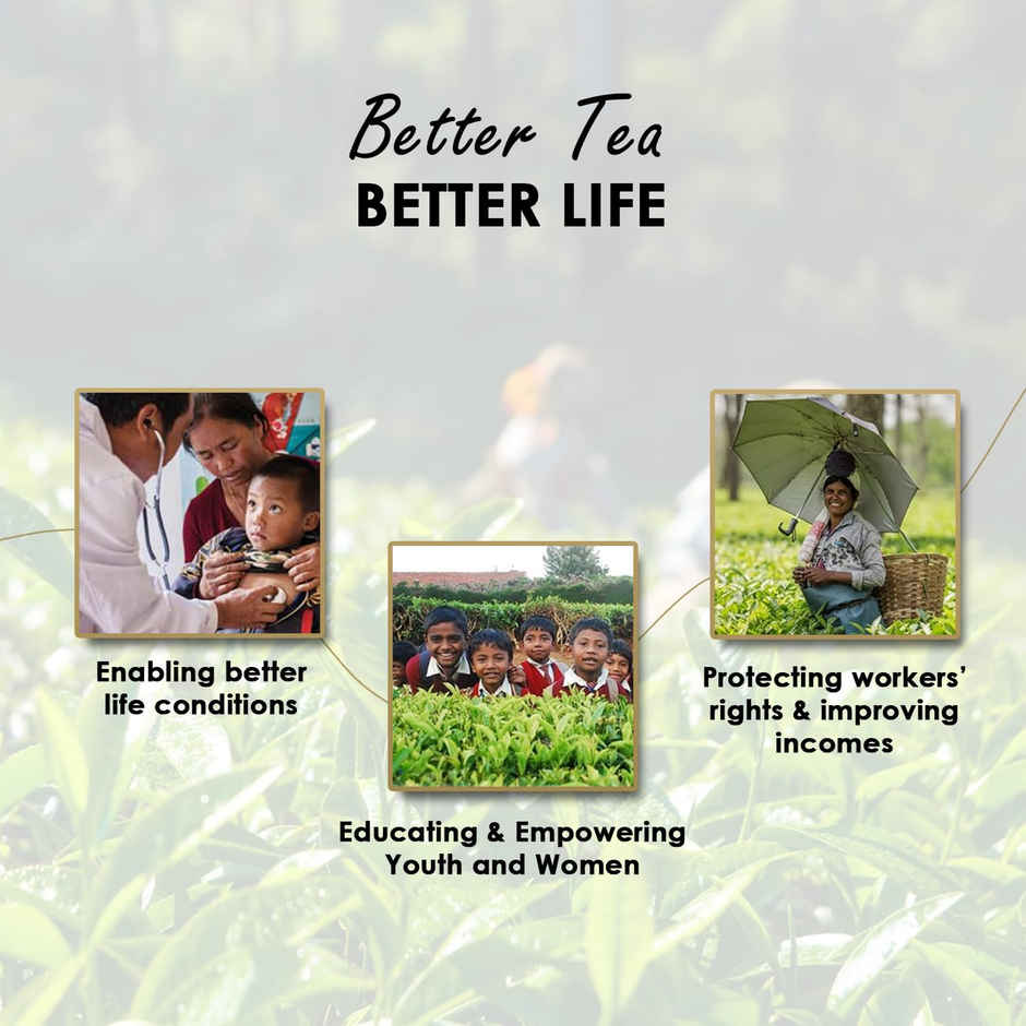 Twinings Lemon and Honey Green Tea