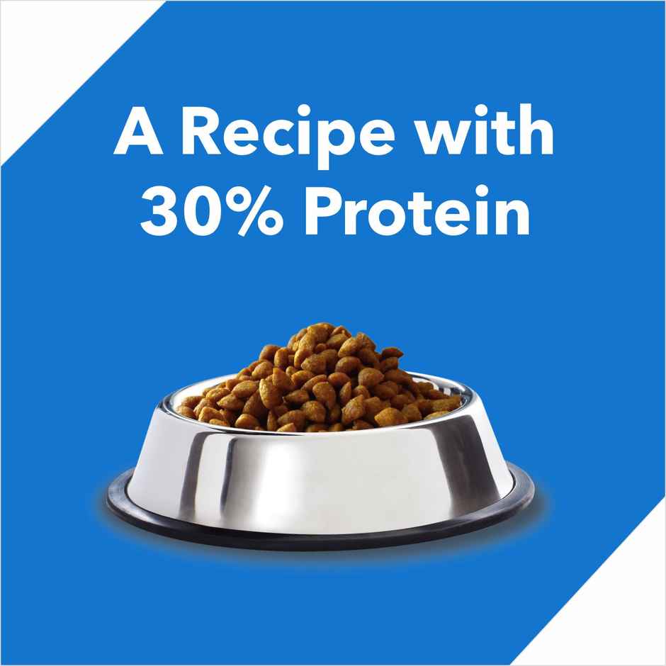 Drools Kitten (1-12 Months) Dry Cat Food With Free Container - Ocean Fish