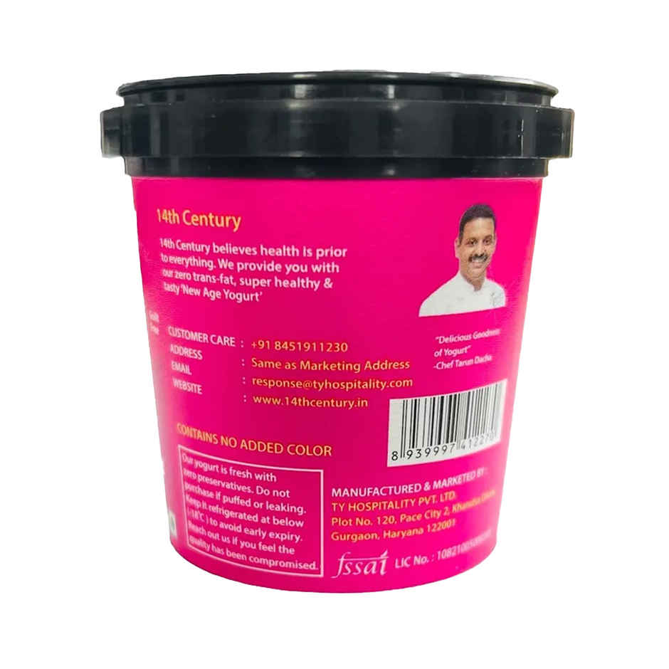 14Th Century Frozen Yogurt Wicked Berry