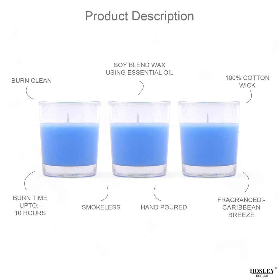 Scented Glass Votive Candles | Lavender | Pack of 3 | Samsidhi